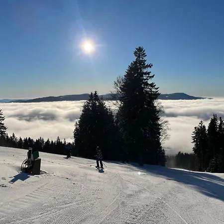 U Certova Mlyna Zelezna Ruda Lägenhet Spicak