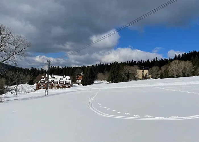 U Certova Mlyna Zelezna Ruda Lägenhet