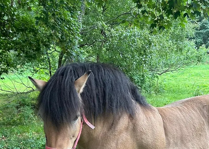 U Certova Mlyna Zelezna Ruda