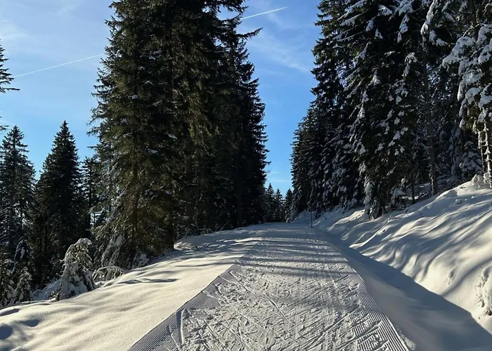 Lägenhet U Certova Mlyna Zelezna Ruda Spicak