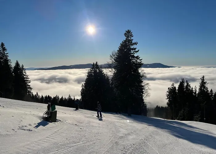 U Certova Mlyna Zelezna Ruda Lägenhet Spicak